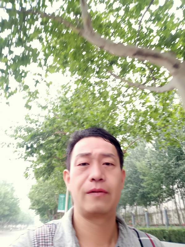 阳光的第一张照片--驻马店相亲服务中心