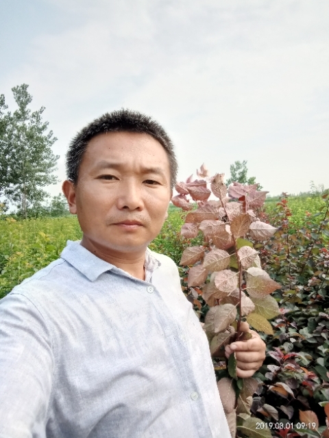 孩子爸的第二张照片--驻马店相亲服务中心