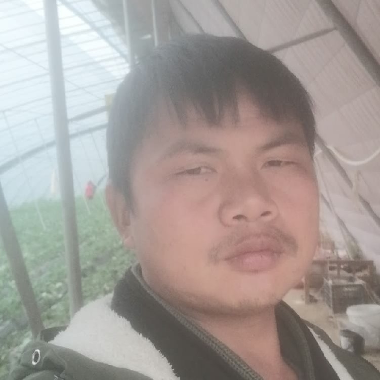 孤狼‘的第一张照片--驻马店相亲服务中心