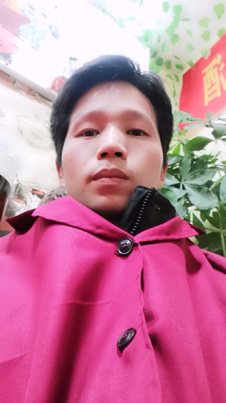 单身的林凡的第二张照片--驻马店相亲服务中心